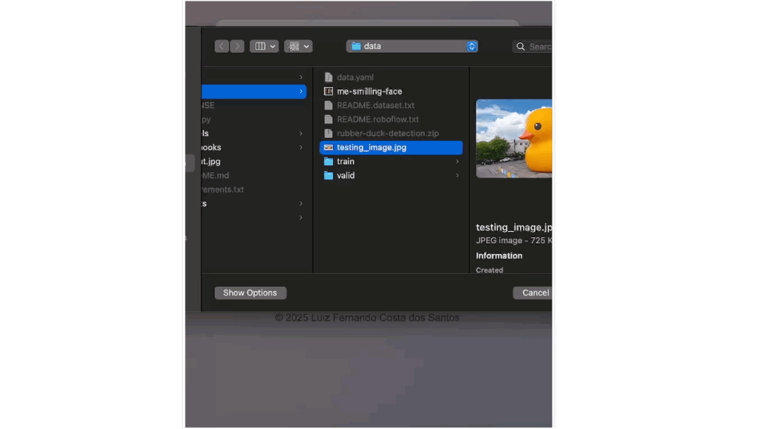 Rubber Duck Detection Project Demo